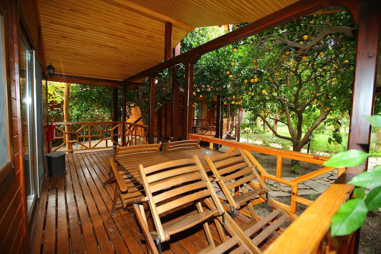 Standart Villa