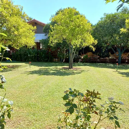 Bahçe Villa-2