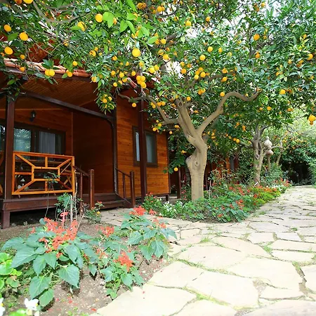 Bahçe Villa-3